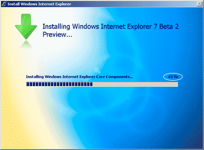 Installer gets stuck on 43 %